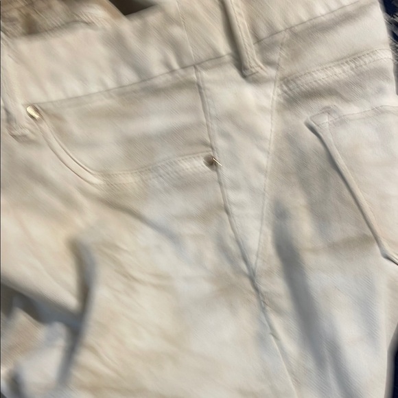 Chico's Elegant Cream and Gray Skinny Pants - Picture 9 of 9